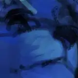 SbArPg