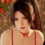akiyamaryo