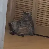 にょたヨフ