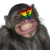turdflingingmonkey