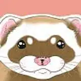 moodyferret
