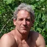 Silverback Tarzan