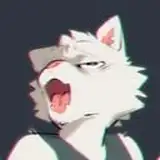 Gumgum-licious Tofu Xal