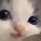 existench