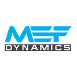 Morphicfields