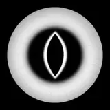 EyeBeast