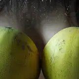 Mrs Busty
