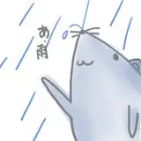 koorinezumi