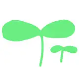 はつが
